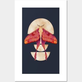 Fiery Luna Moth on Half Moons Watercolor Art Posters and Art